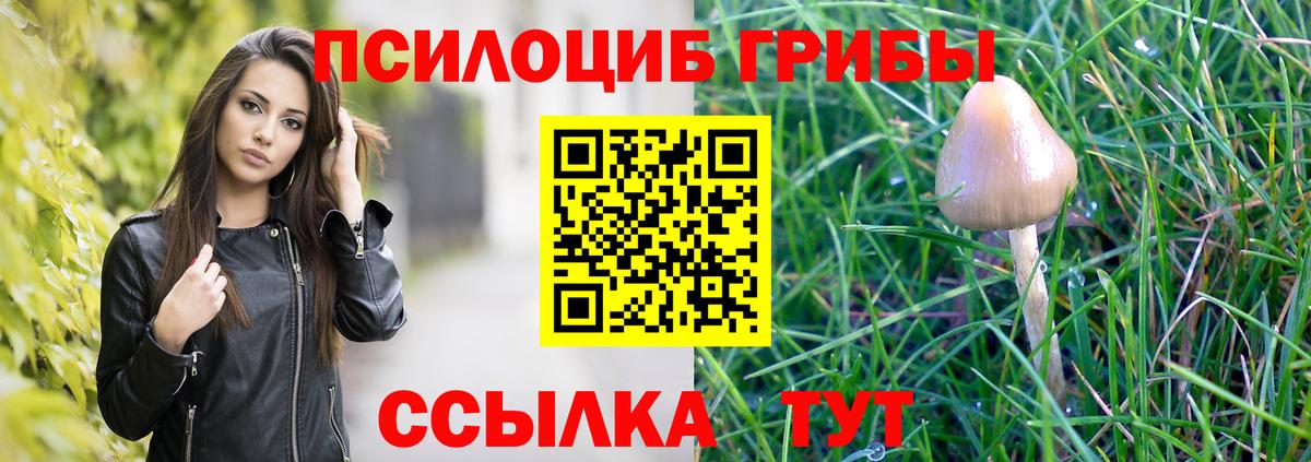 Славгород  Галлюциногенные грибы Psilocybe  закладки  Вход с VPN 